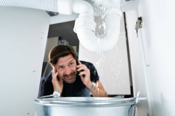 Best Shower Repair Services  in Richnd Heights, MO